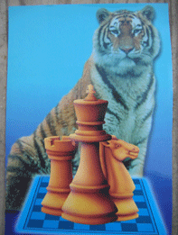 ����-���������