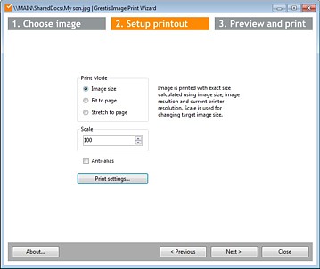 Image Print Wizard setup printout screen