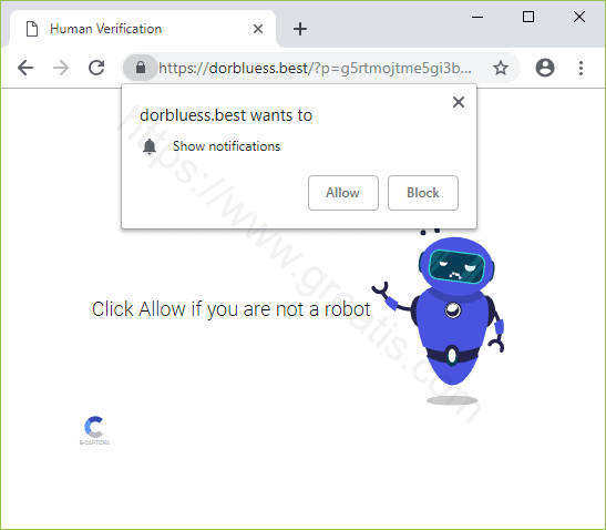 Remove DORBLUESS.BEST pop-up ads