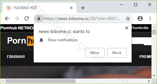 Remove NEWS-BIBOME.CC pop-up ads