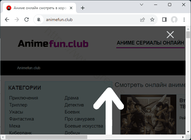 Remove ANIMEFUN.CLUB pop-up ads